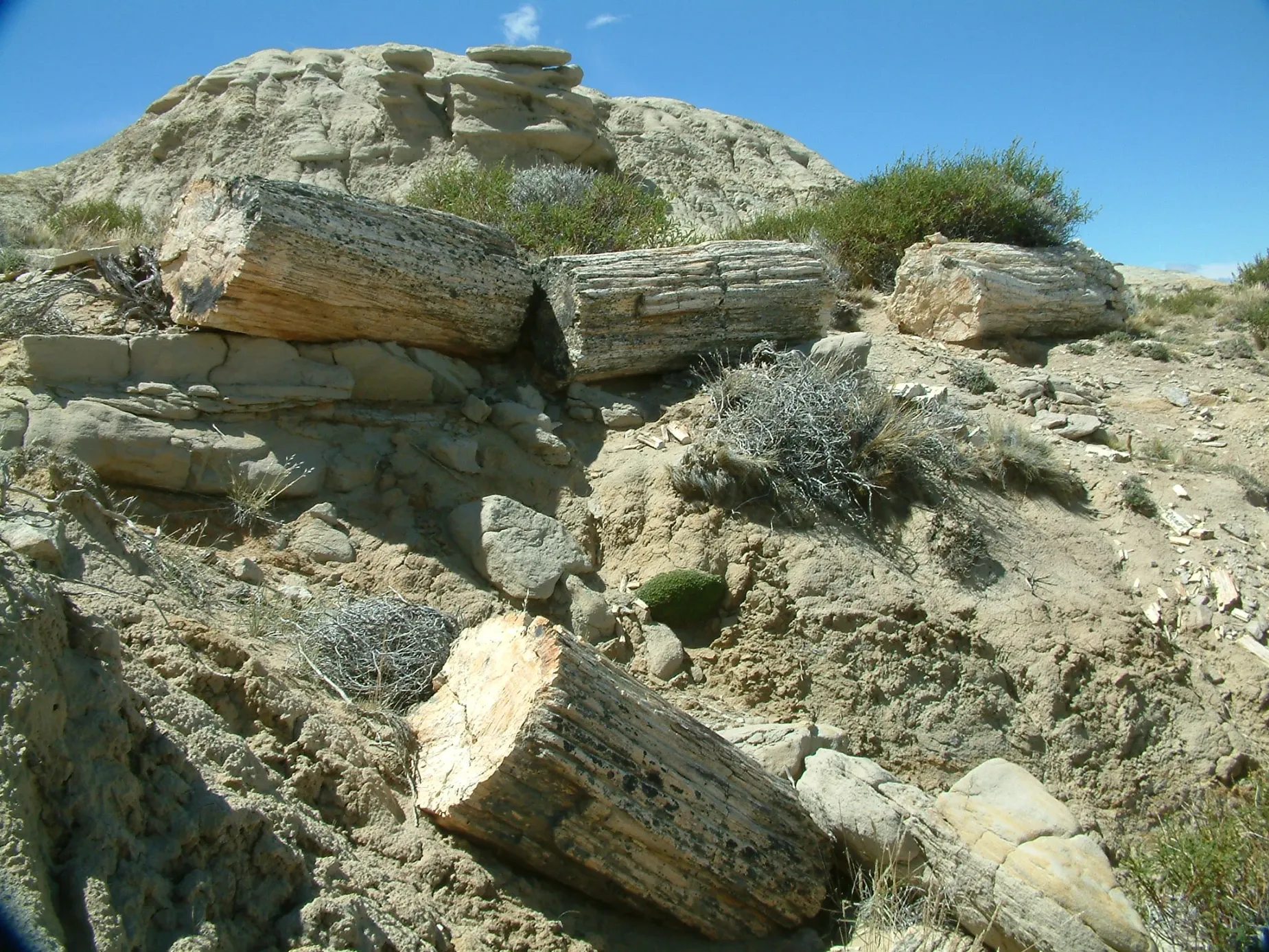 Paisaje de montaña 5