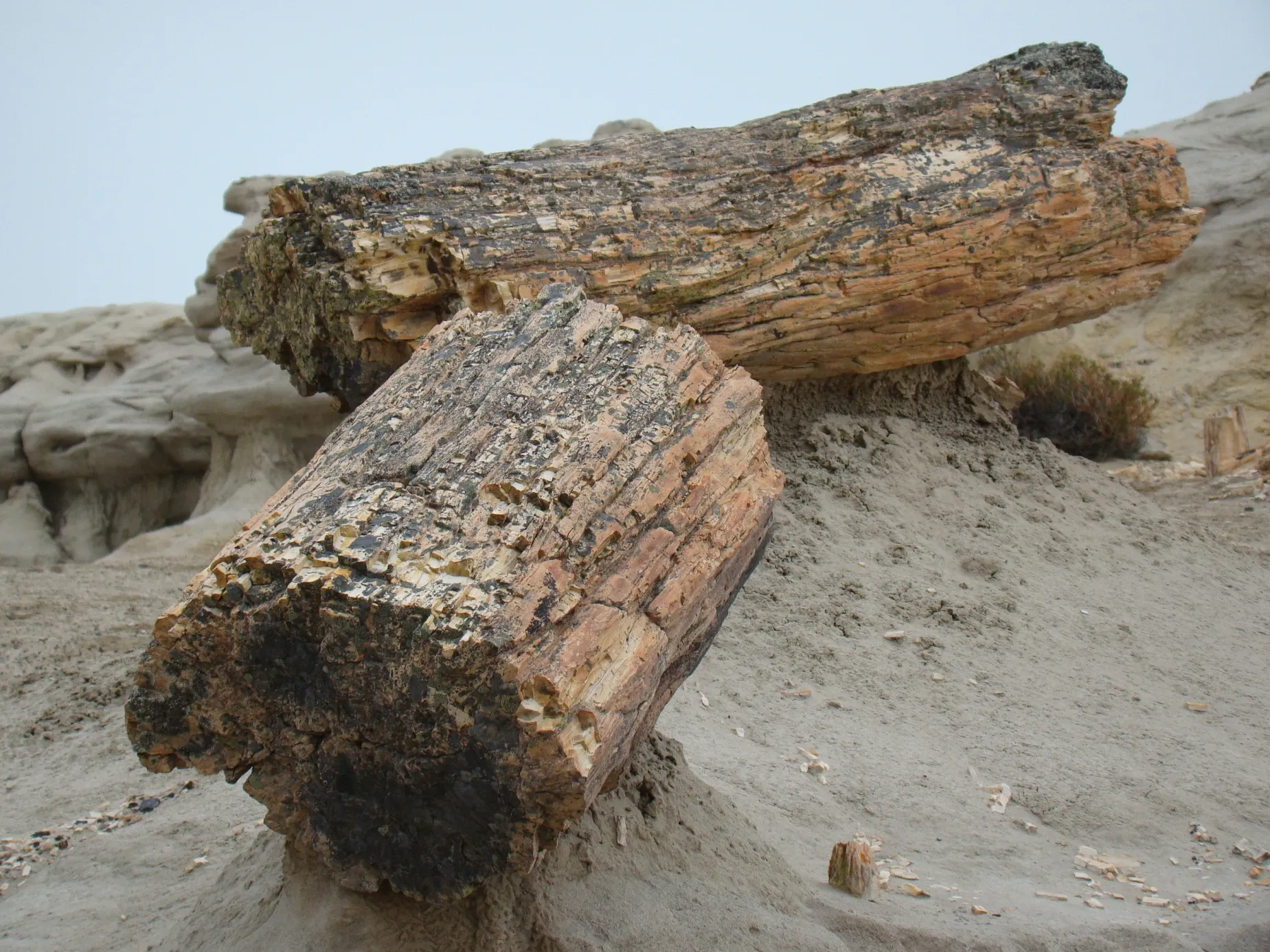 Paisaje de montaña 7