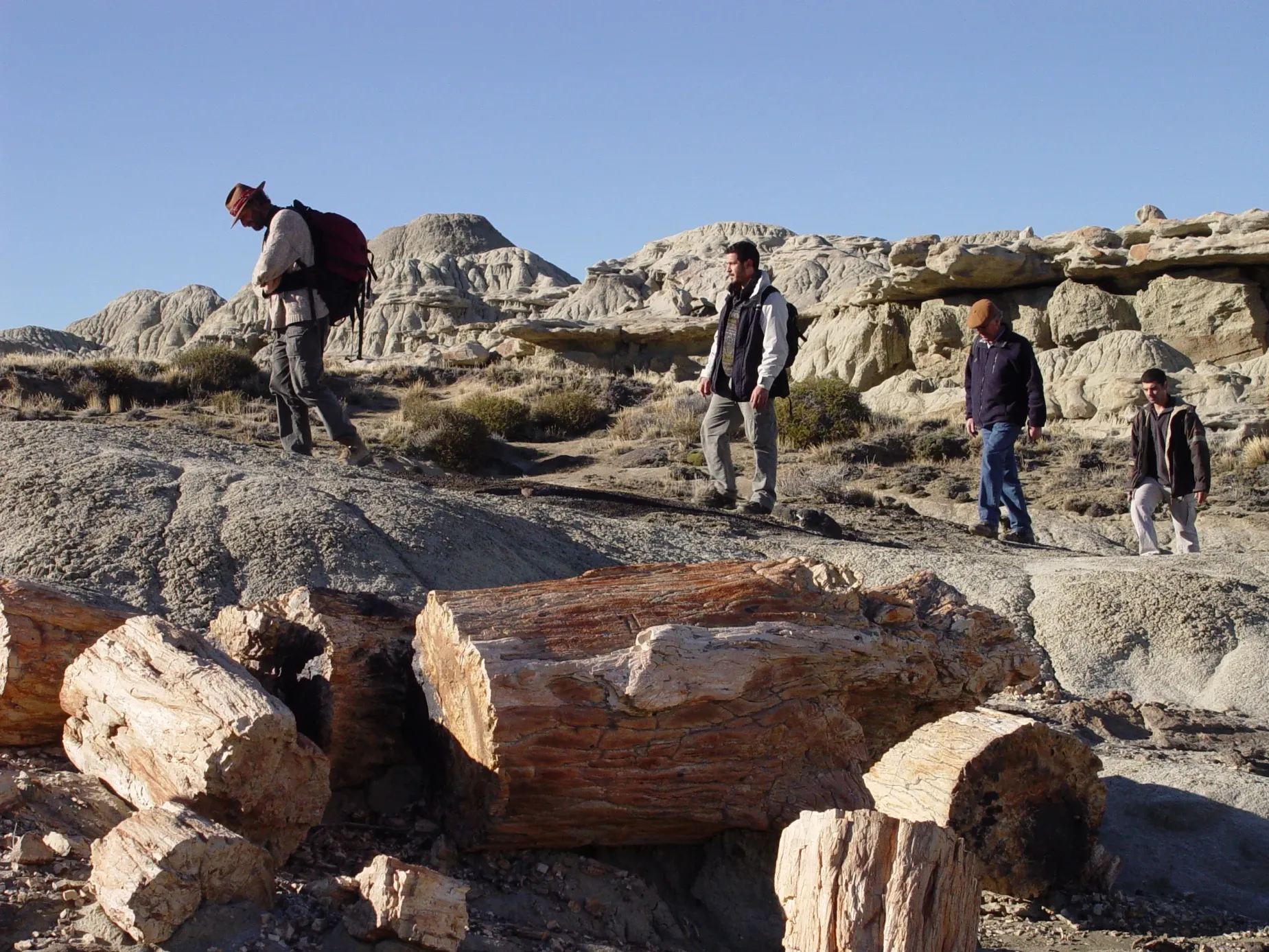 Paisaje de montaña 9