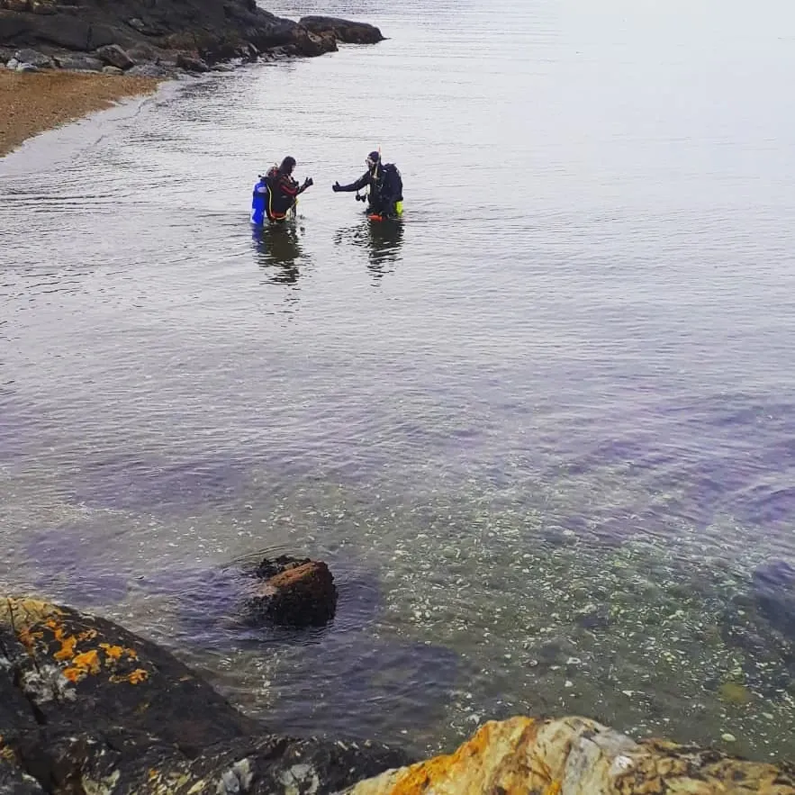 Paisaje de montaña 8