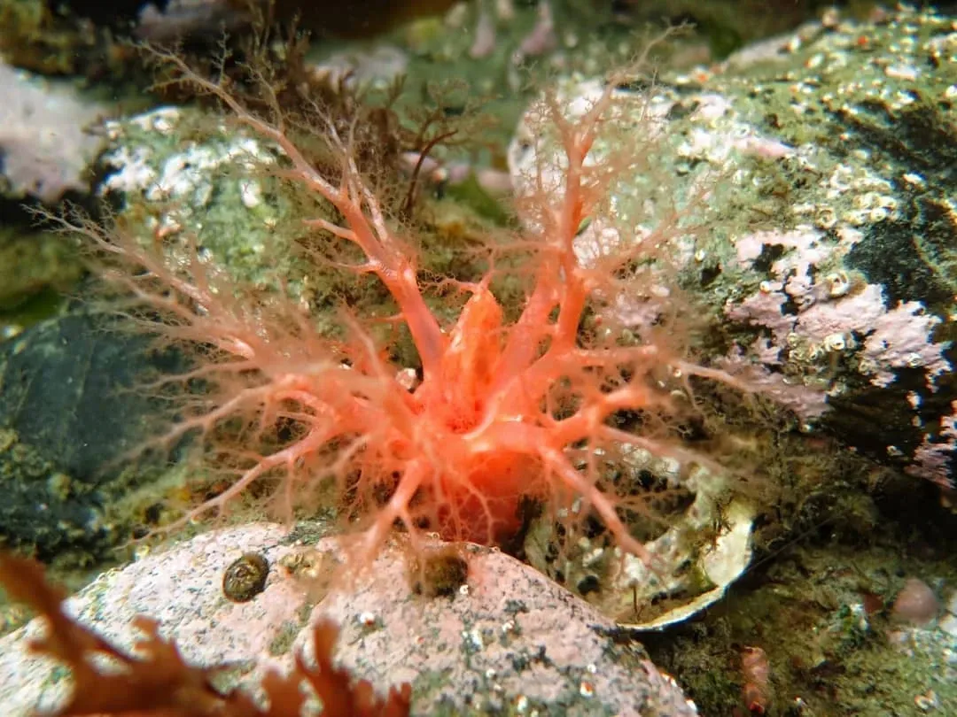 Paisaje de montaña 7