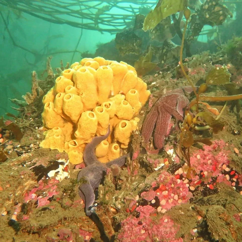 Paisaje de montaña 12