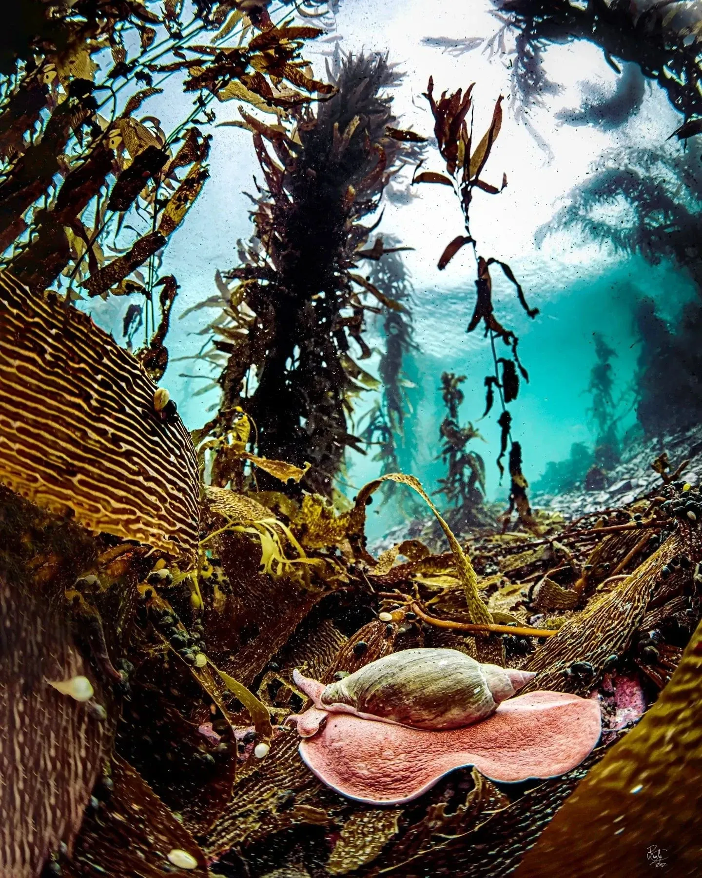 Paisaje de montaña 13