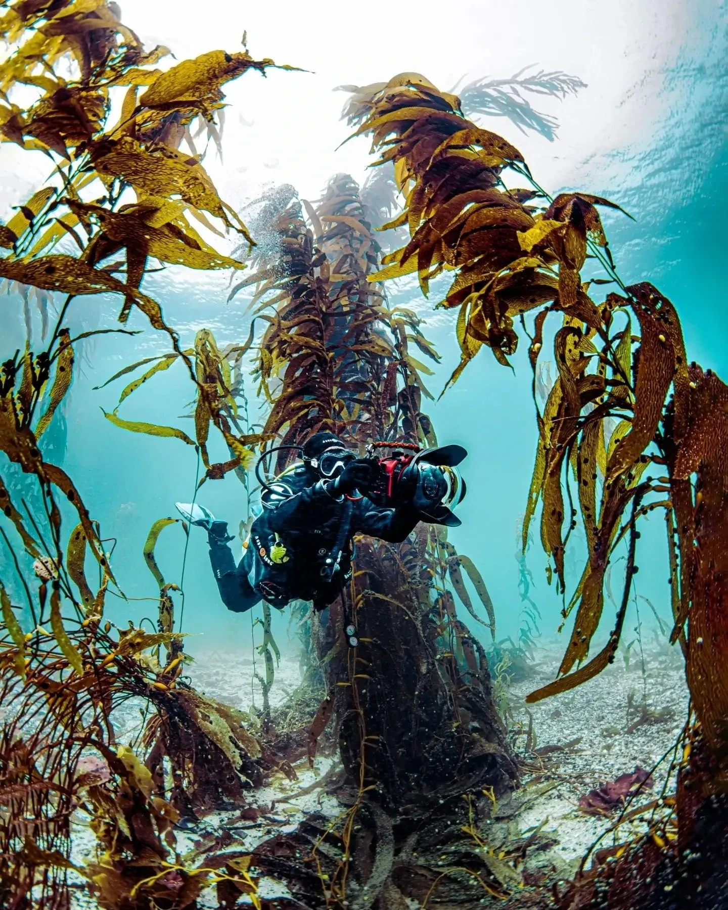 Paisaje de montaña 14