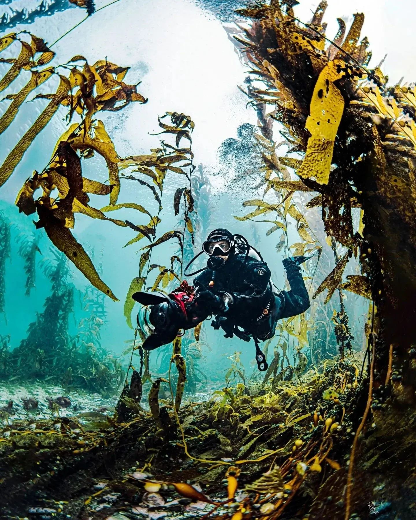 Paisaje de montaña 17