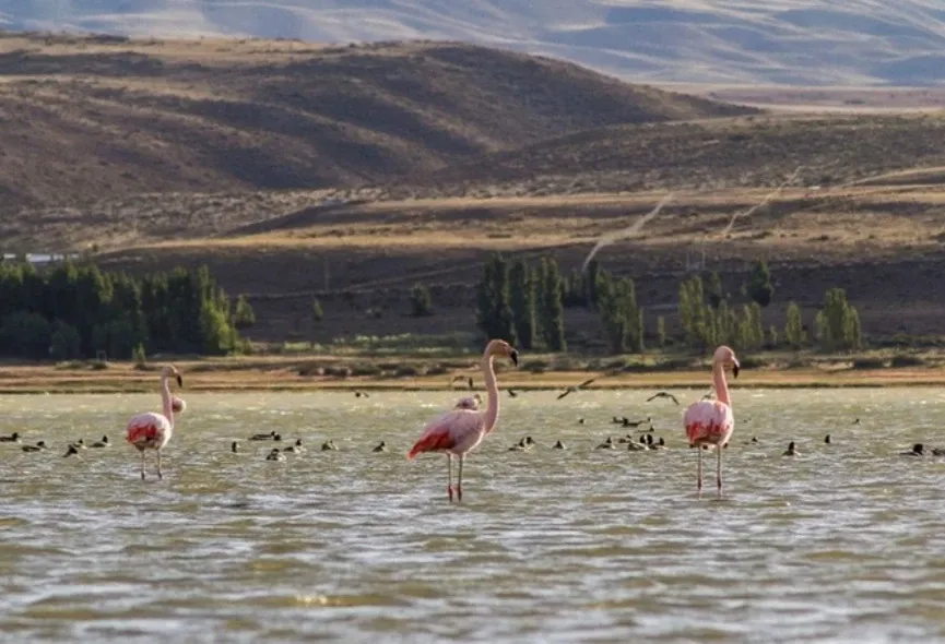 Paisaje de montaña 6