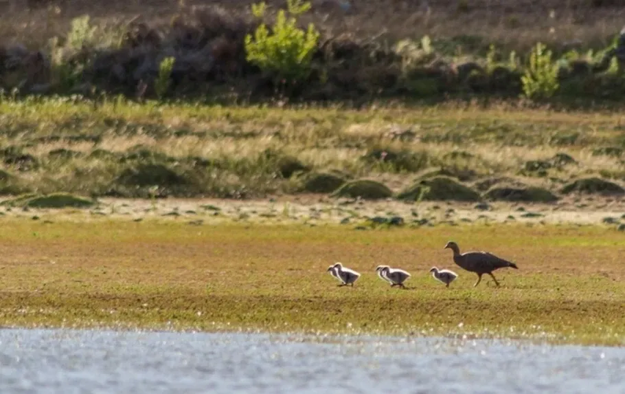 Paisaje de montaña 7