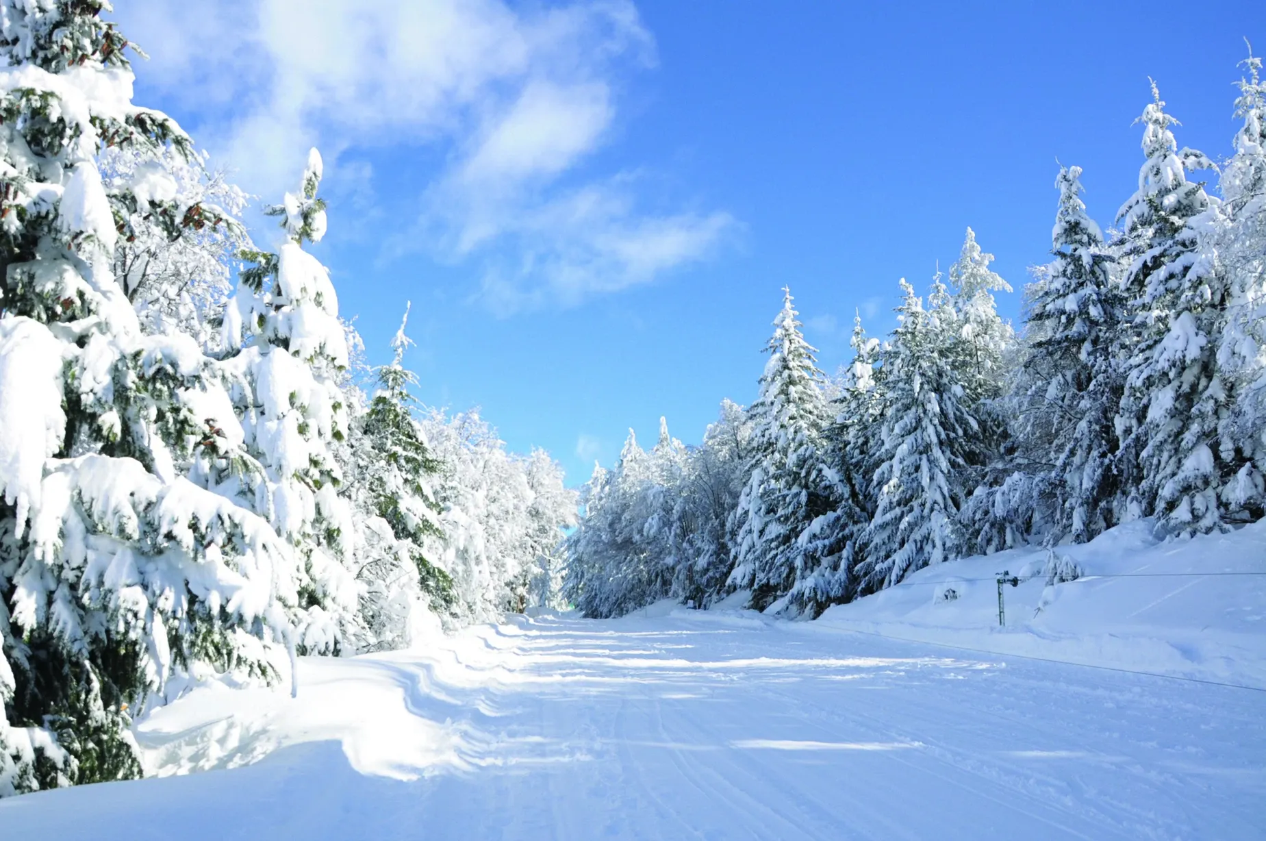 Paisaje de montaña 5