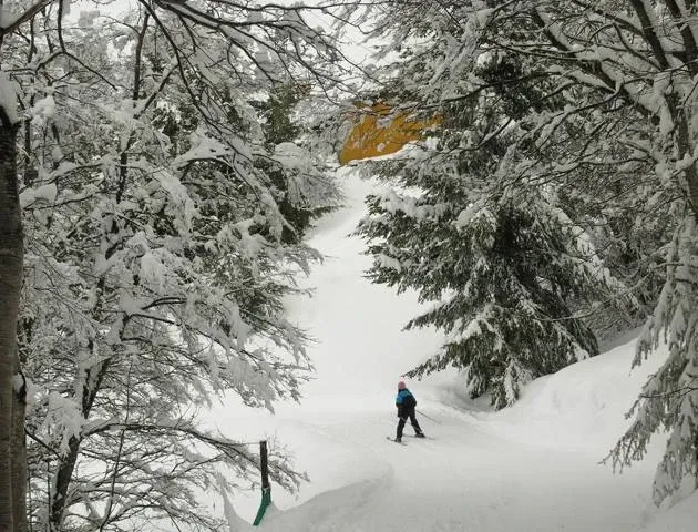 Paisaje de montaña 10