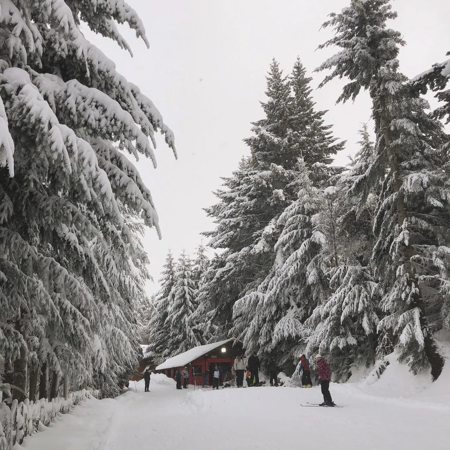 Paisaje de montaña 13