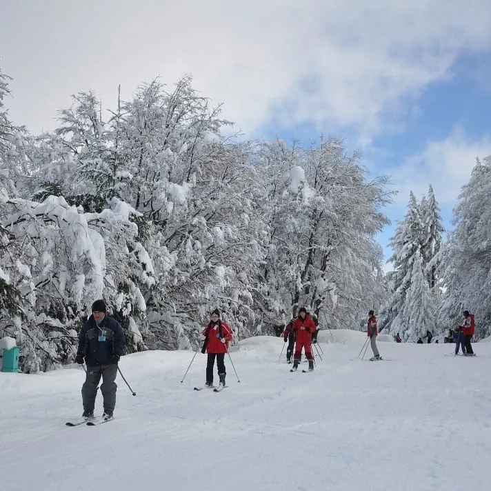 Paisaje de montaña 15