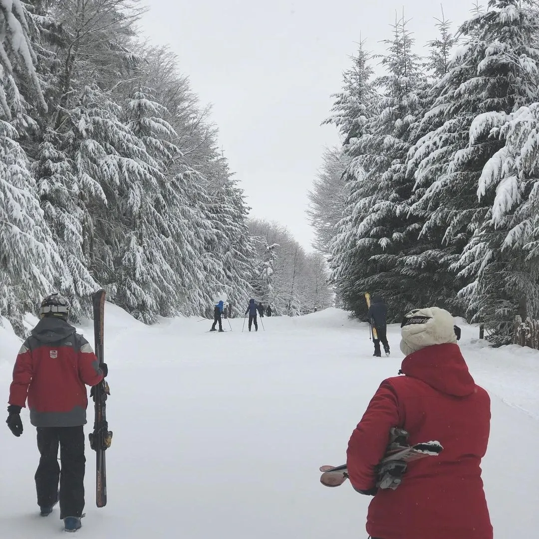 Paisaje de montaña 17