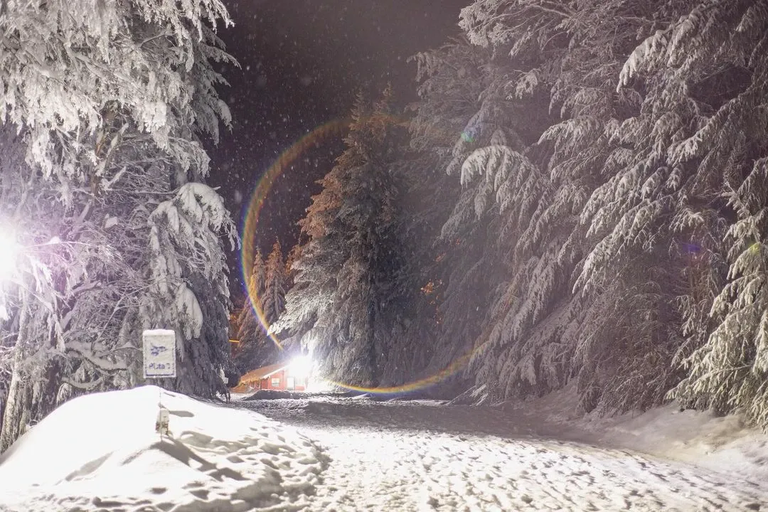 Paisaje de montaña 14