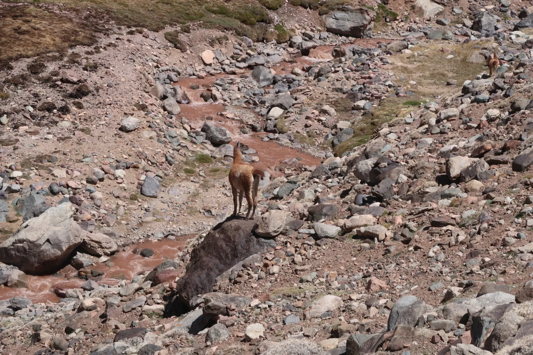 Paisaje de montaña 6