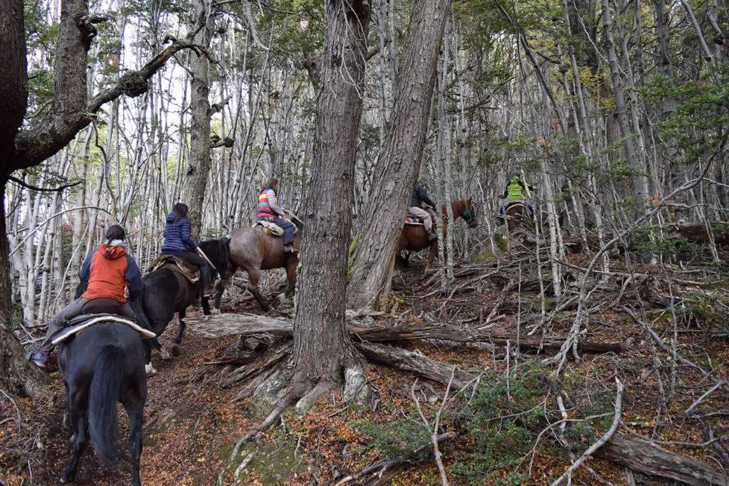 Paisaje de montaña 9