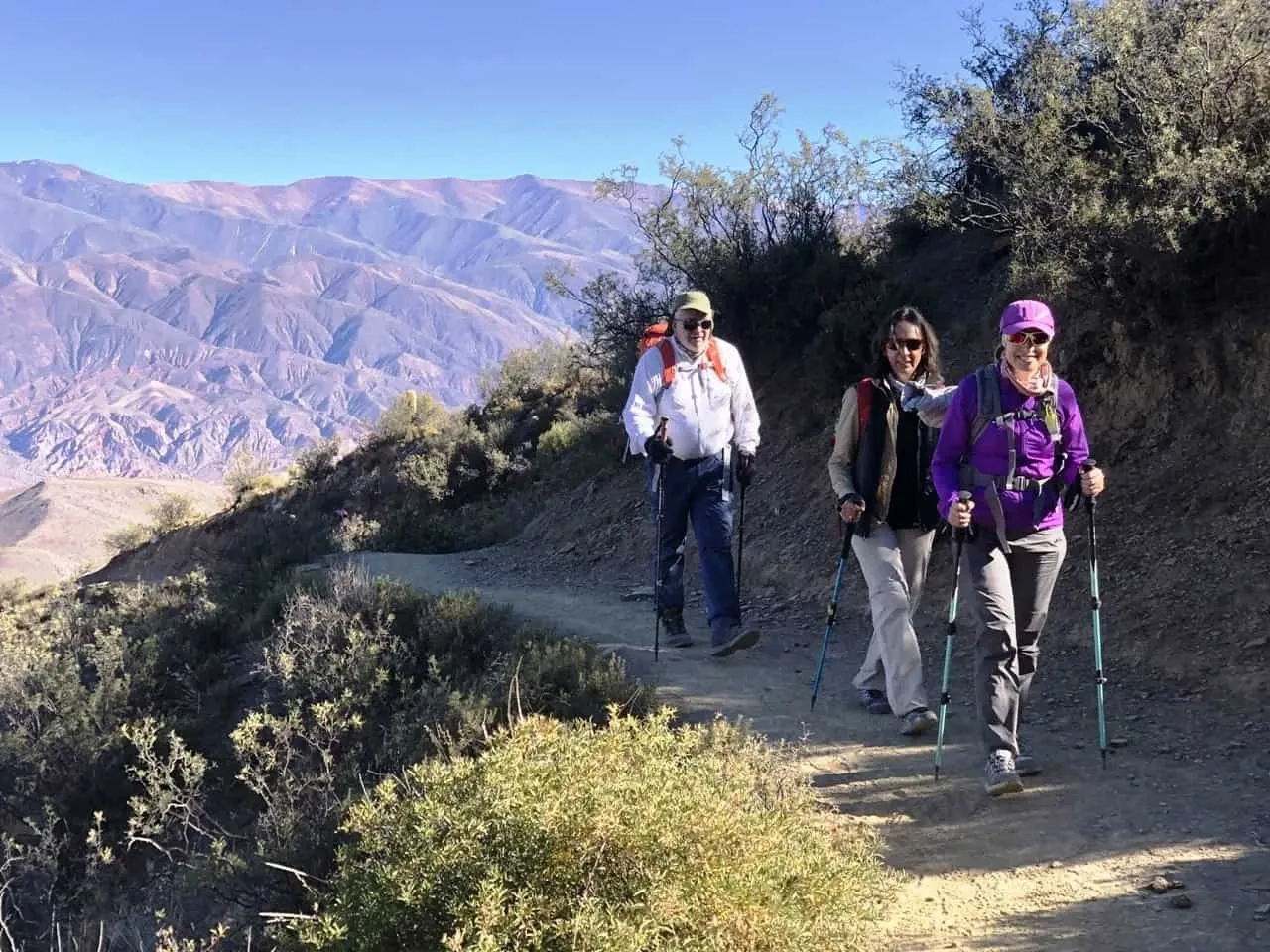 Paisaje de montaña 7