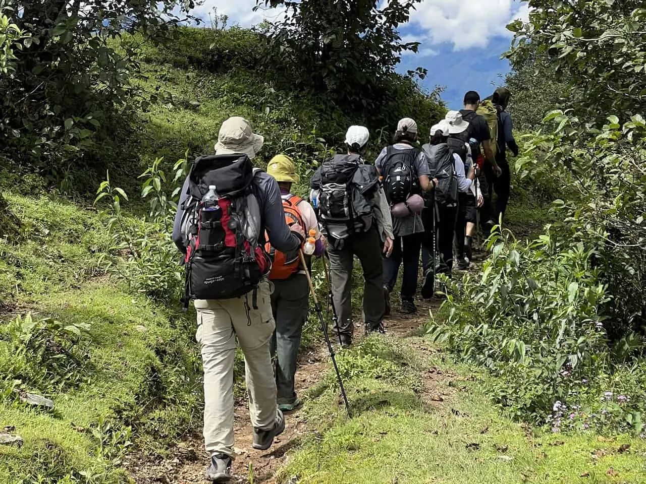 Paisaje de montaña 8