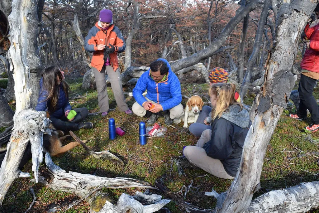 Paisaje de montaña 16