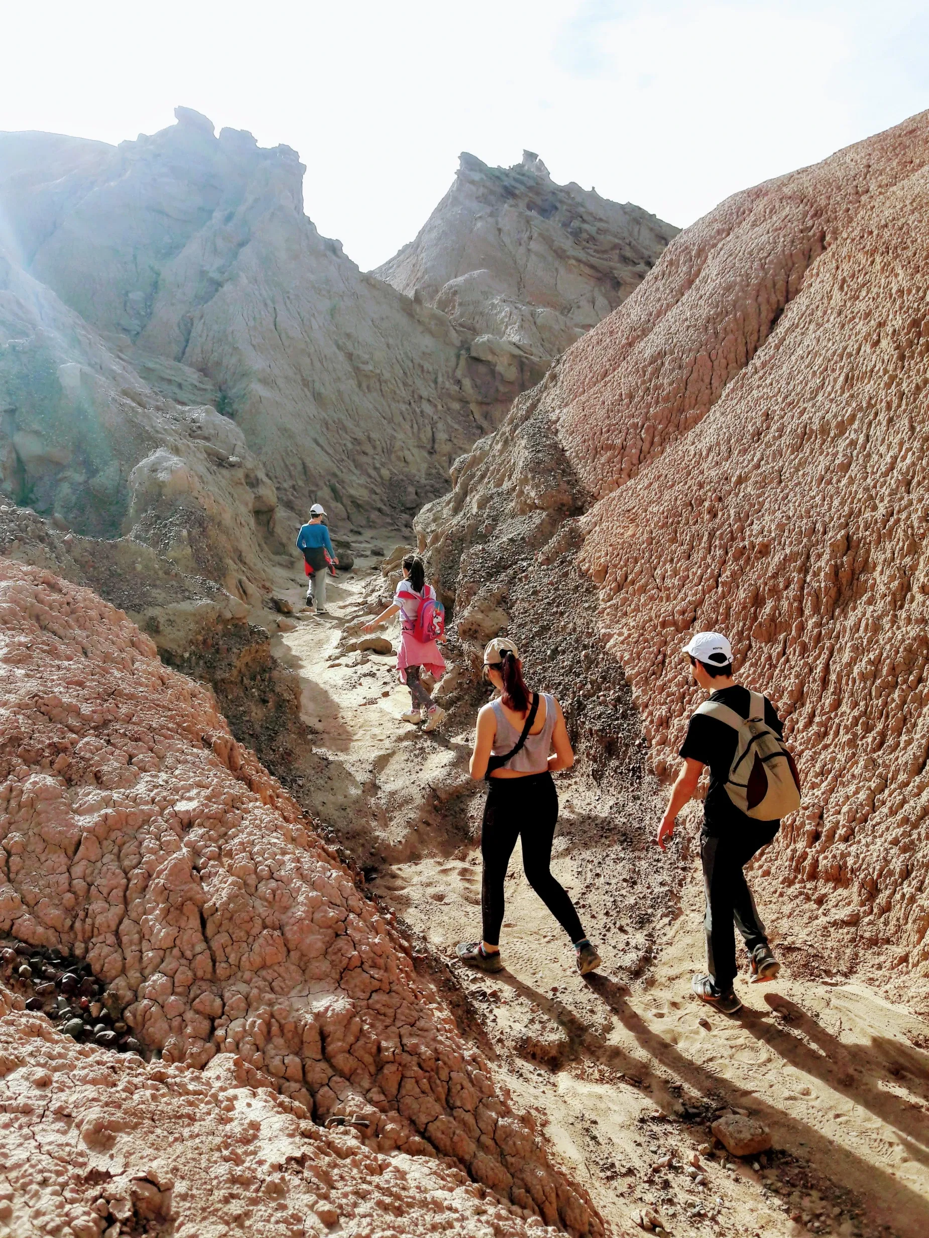 Paisaje de montaña 5