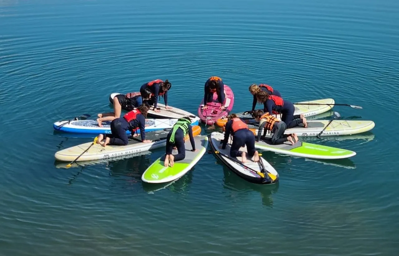 Paisaje de montaña 12