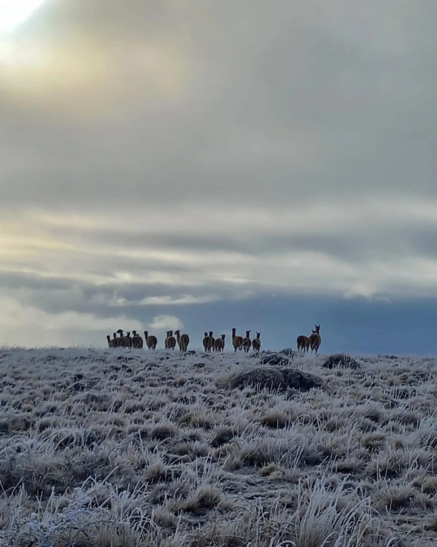 Paisaje de montaña 7