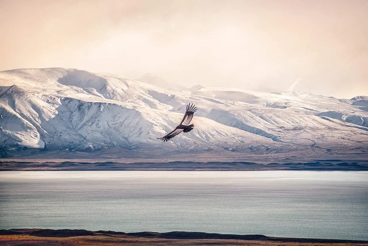 Paisaje de montaña 12