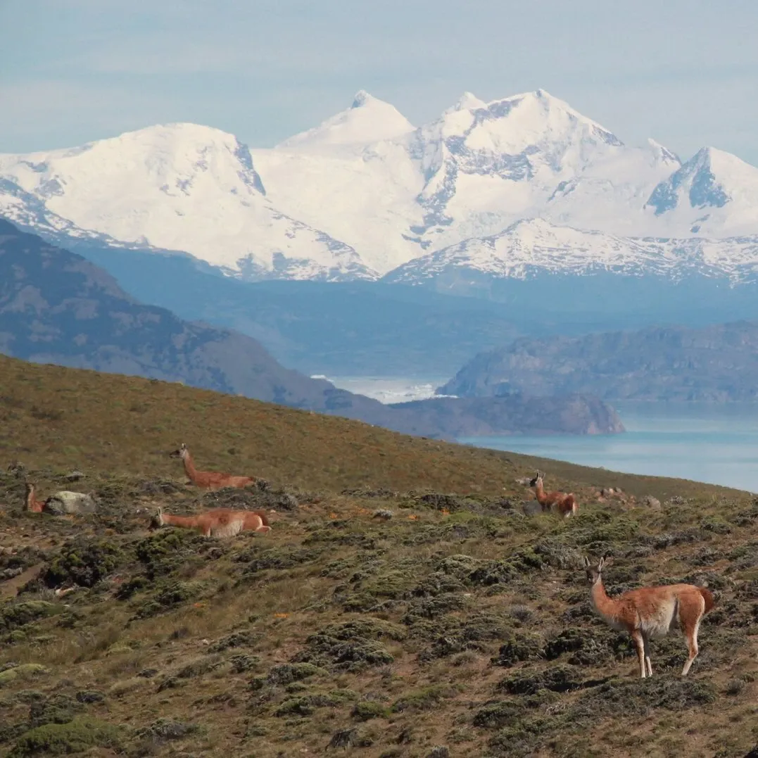 Paisaje de montaña 15