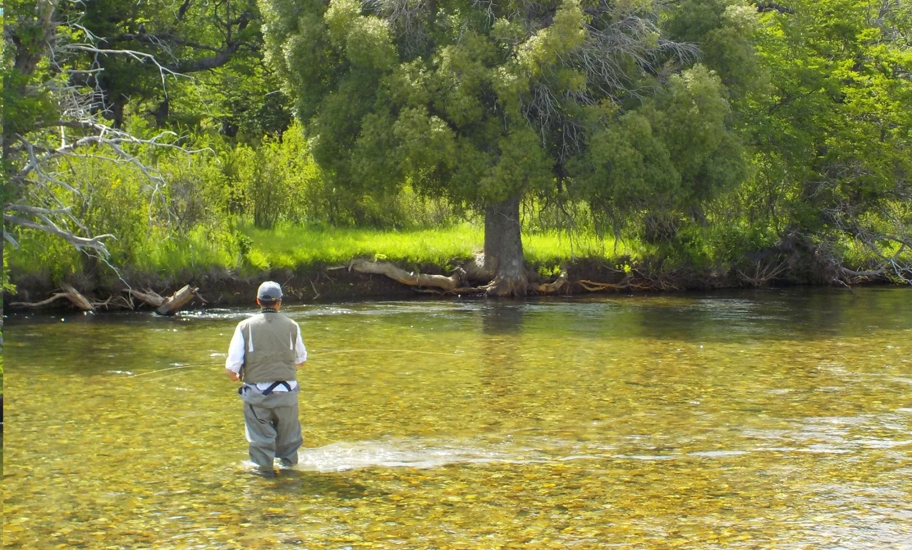 Paisaje de montaña 11