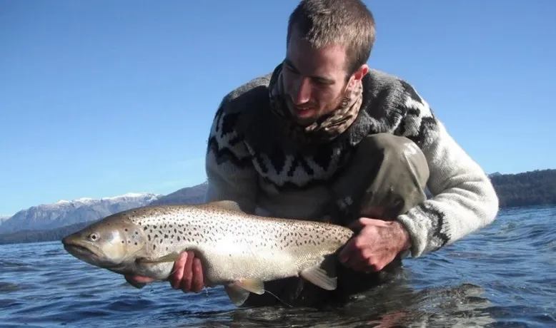 Paisaje de montaña 14