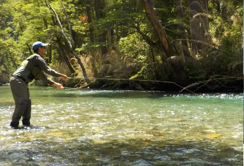 Paisaje de montaña 1