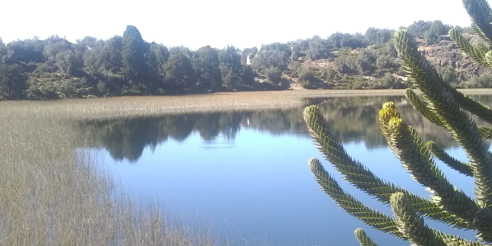 Paisaje de montaña 4