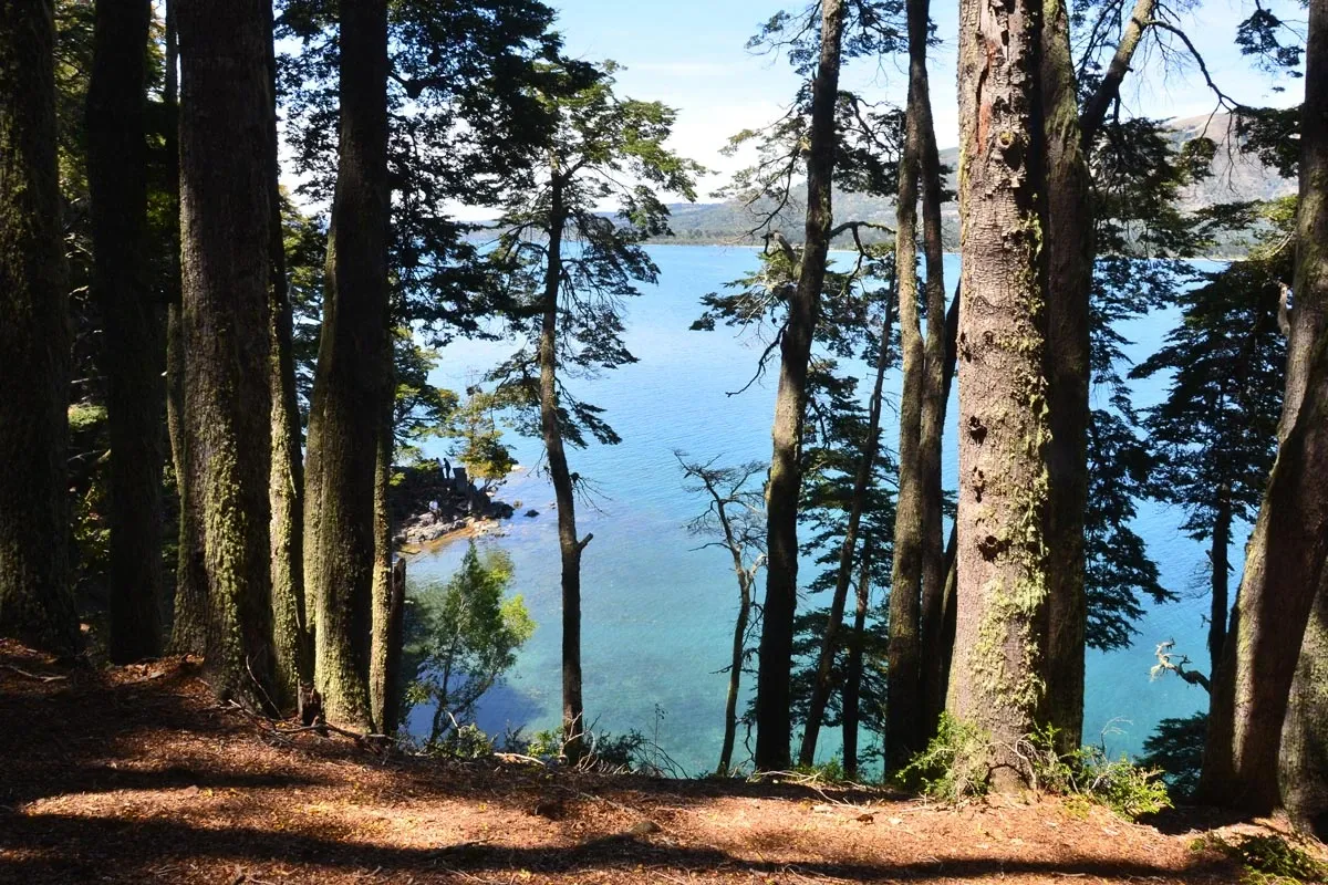 Paisaje de montaña 6