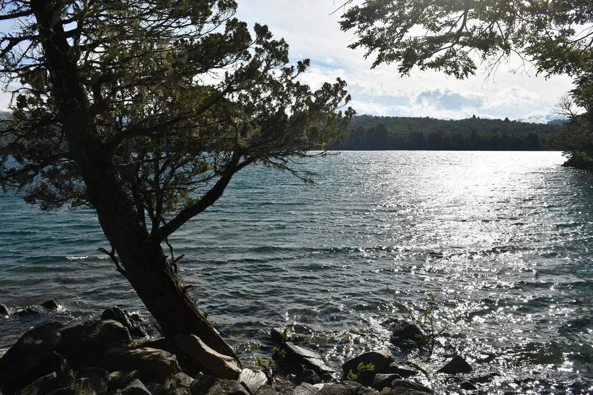 Paisaje de montaña 8