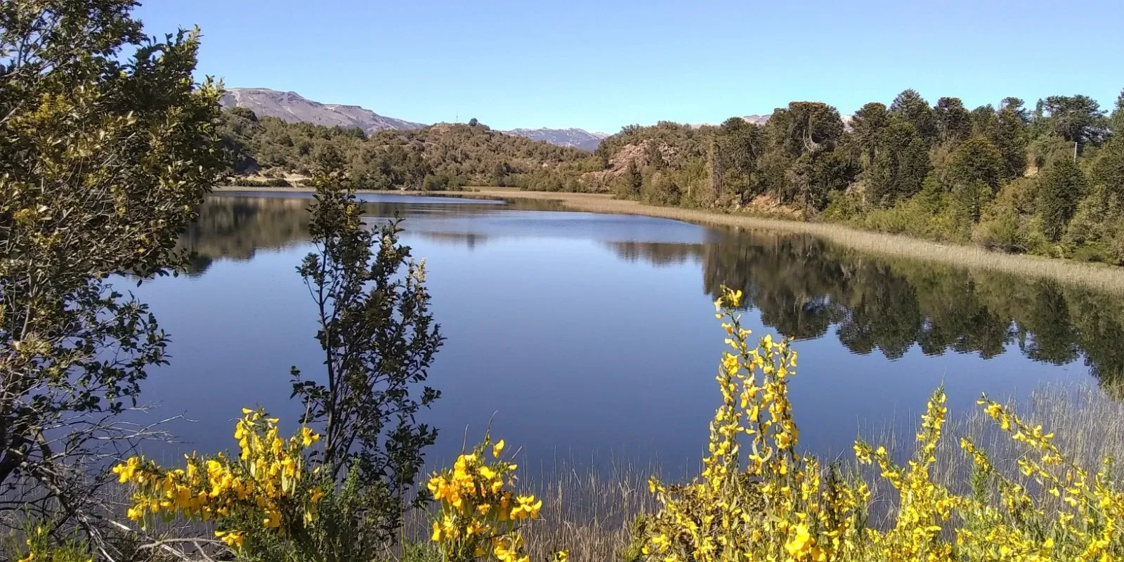 Paisaje de montaña 1