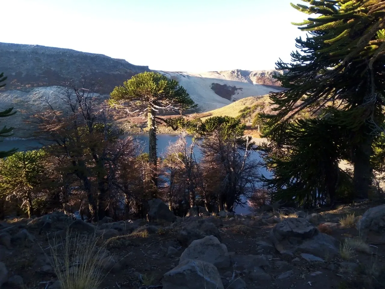 Paisaje de montaña 9