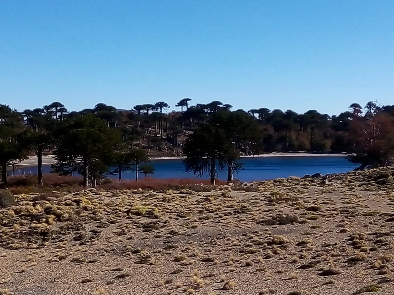 Paisaje de montaña 1