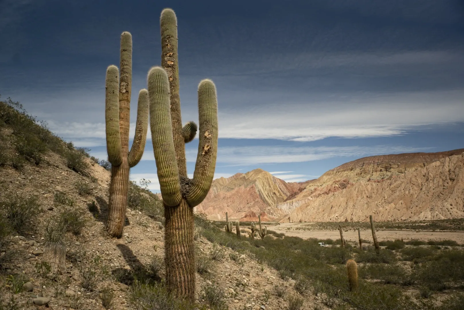 Paisaje de montaña 4