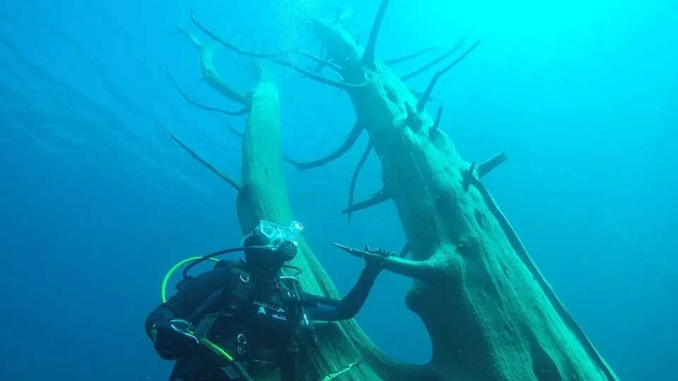 Paisaje de montaña 11