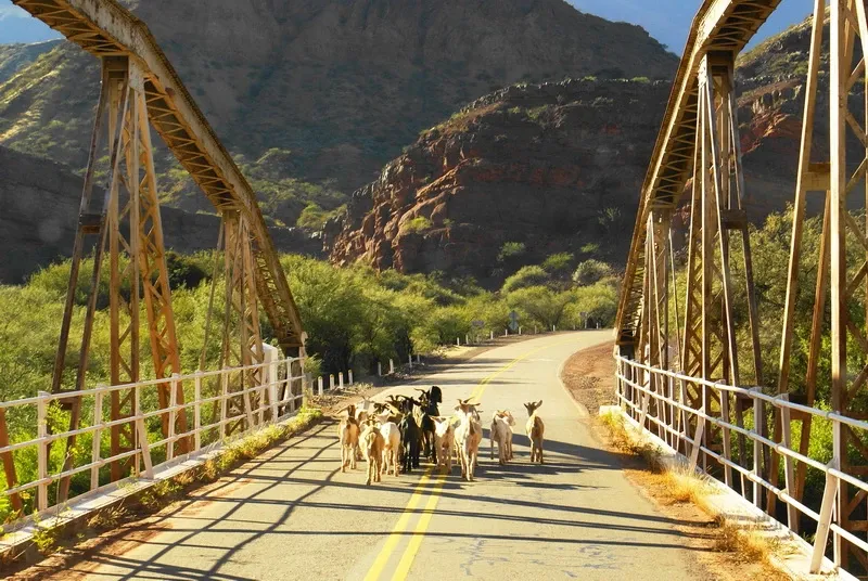 Paisaje de montaña 5