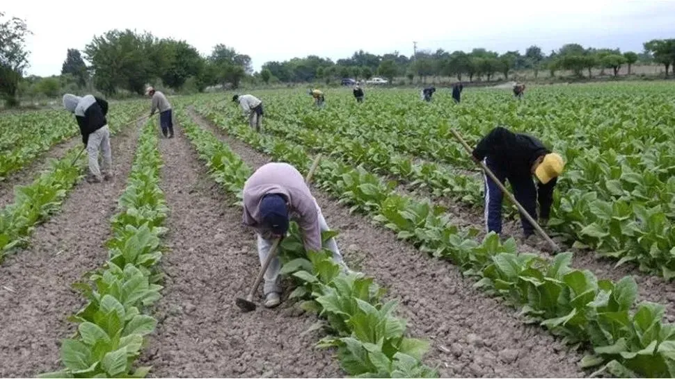 Paisaje de montaña 6