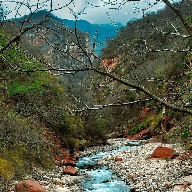 Paisaje de montaña 8