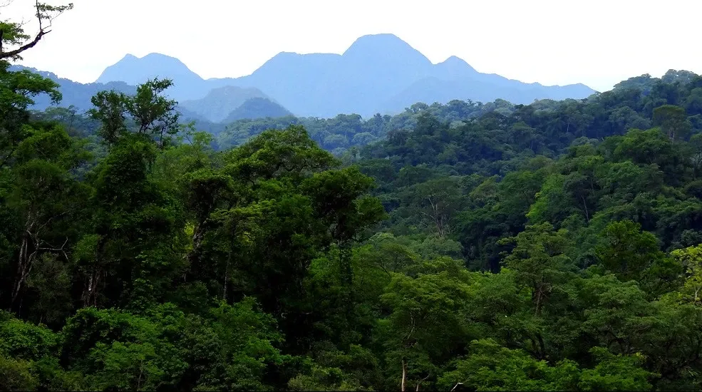 Paisaje de montaña 10