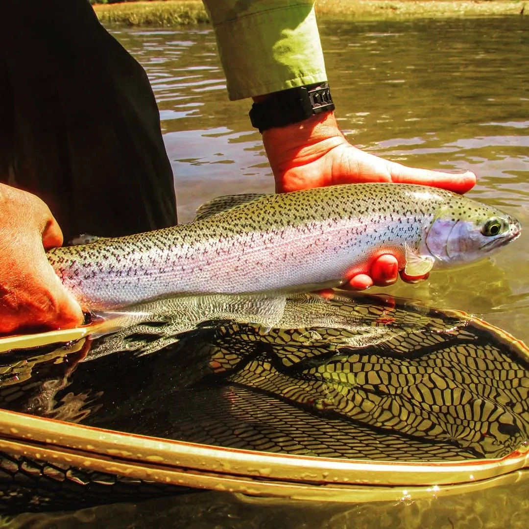 Paisaje de montaña 8