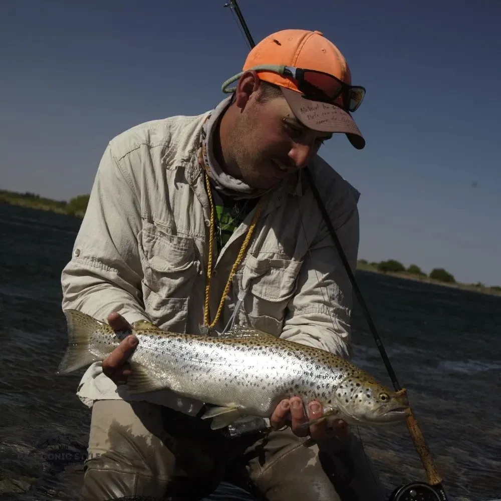 Paisaje de montaña 13