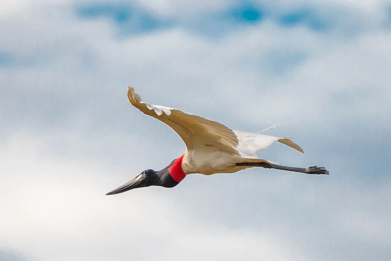 Paisaje de montaña 7