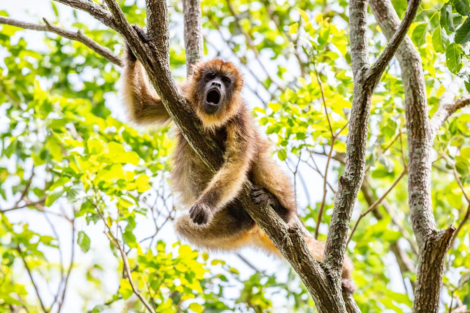 Paisaje de montaña 8