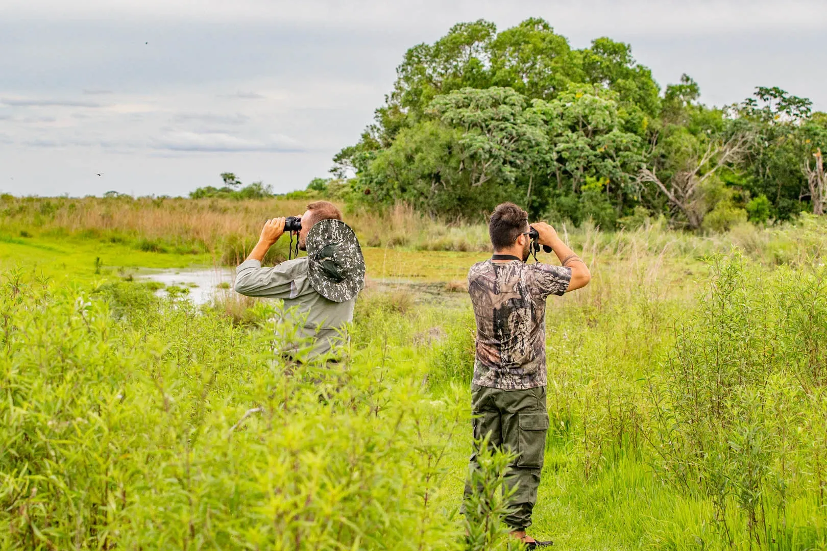 Paisaje de montaña 9