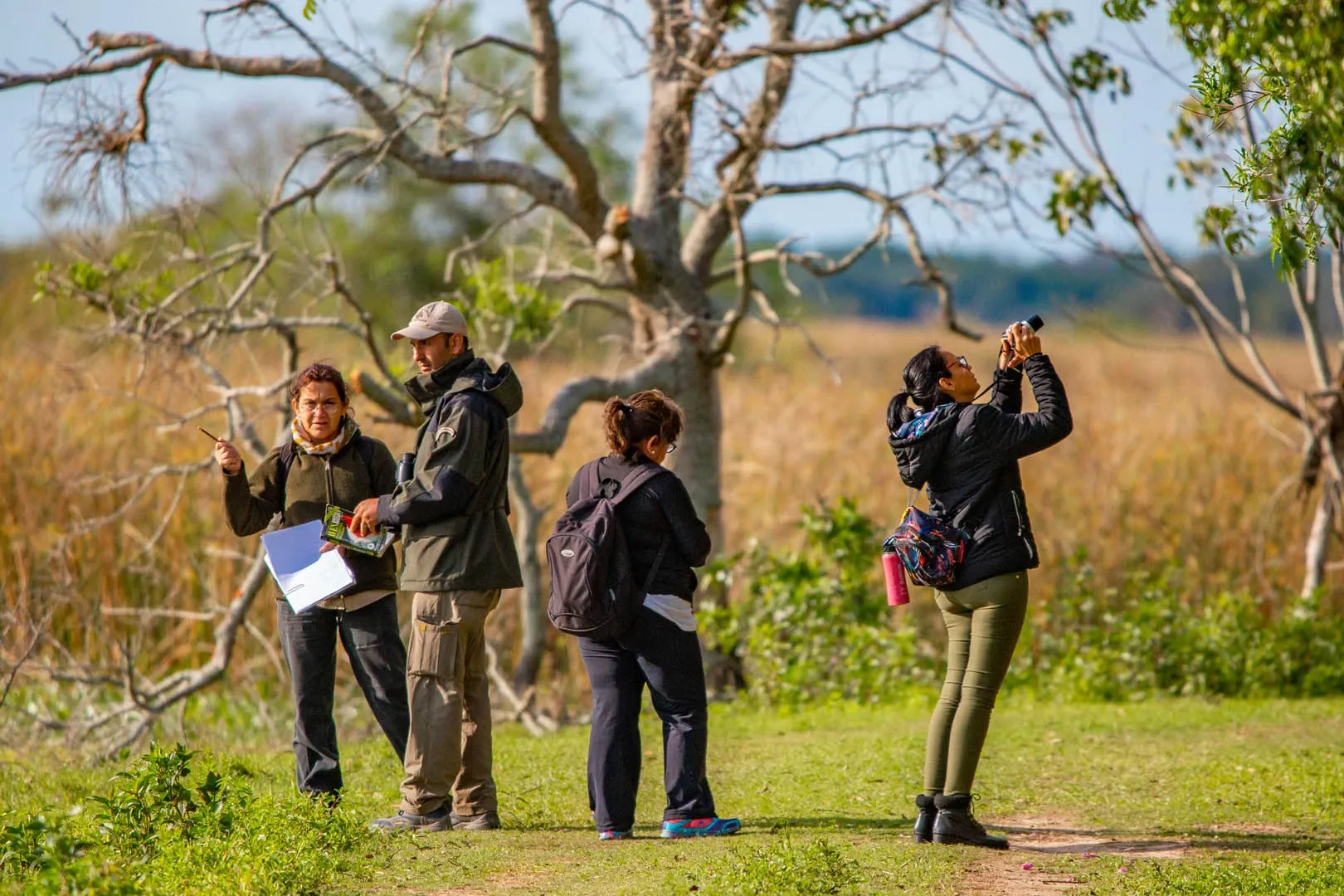 Paisaje de montaña 11