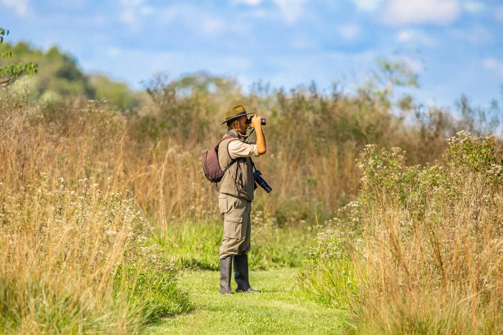 Paisaje de montaña 12