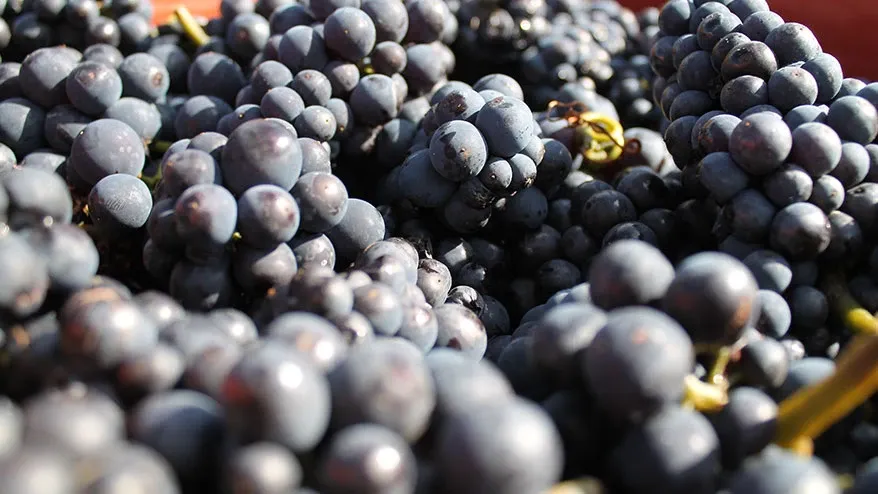 Paisaje de montaña 3